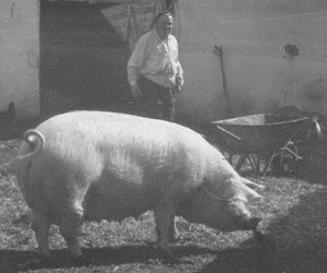 Agripino Marcos