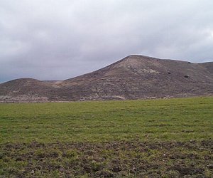 Pico borracho