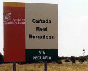Caada Real Burgalesa